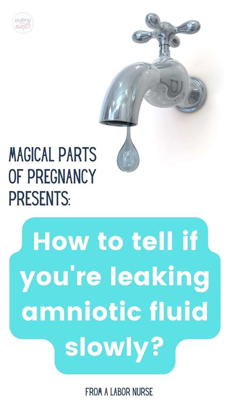 does amniotic fluid leak|Leaking Amniotic Fluid: How to Tell